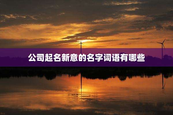 公司起名新意的名字词语有哪些