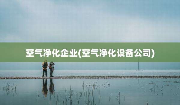 空气净化企业(空气净化设备公司)