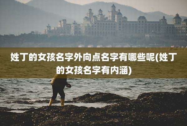 姓丁的女孩名字外向点名字有哪些呢(姓丁的女孩名字有内涵)
