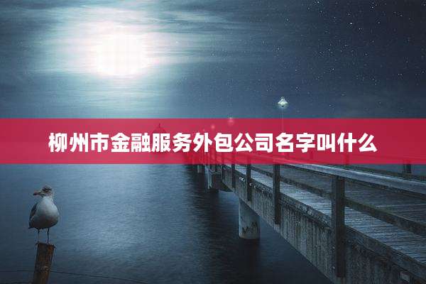 柳州市金融服务外包公司名字叫什么