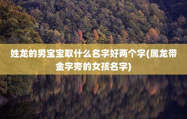 姓龙的男宝宝取什么名字好两个字(属龙带金字旁的女孩名字)