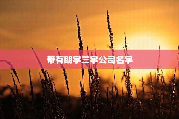 带有朗字三字公司名字