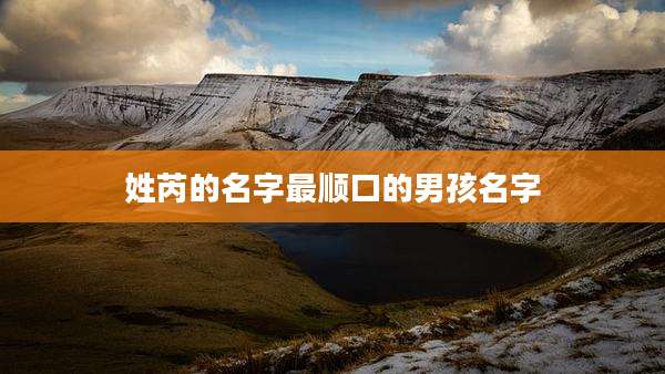 姓芮的名字最顺口的男孩名字