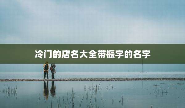 冷门的店名大全带振字的名字