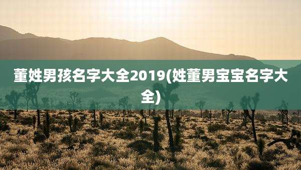 董姓男孩名字大全2019(姓董男宝宝名字大全)