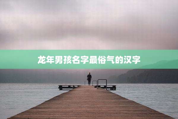 龙年男孩名字最俗气的汉字