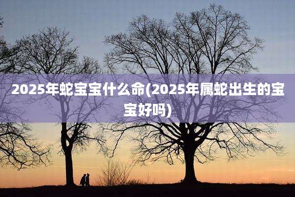 2025年蛇宝宝什么命(2025年属蛇出生的宝宝好吗)