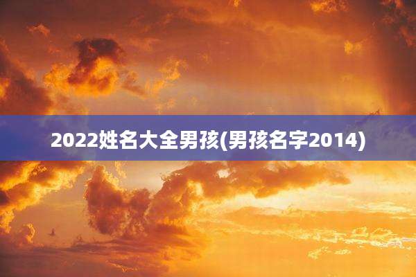 2022姓名大全男孩(男孩名字2014)