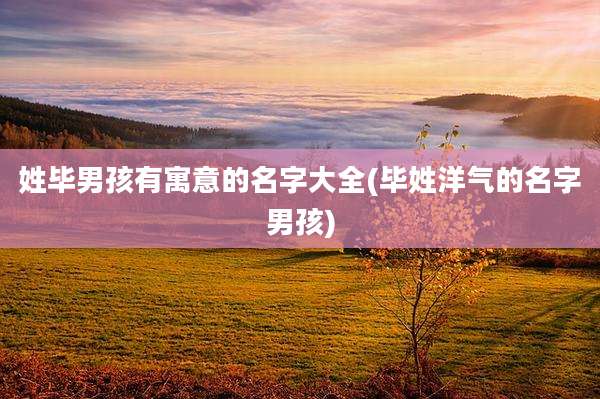 姓毕男孩有寓意的名字大全(毕姓洋气的名字男孩)