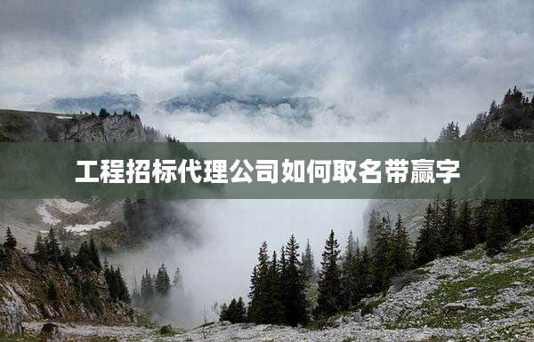 工程招标代理公司如何取名带赢字