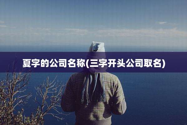 夏字的公司名称(三字开头公司取名)