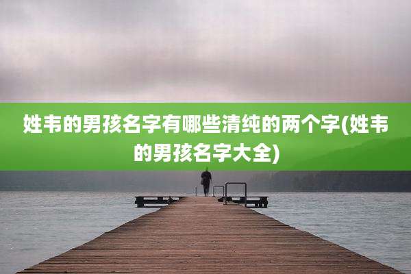 姓韦的男孩名字有哪些清纯的两个字(姓韦的男孩名字大全)