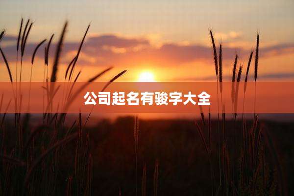公司起名有骏字大全