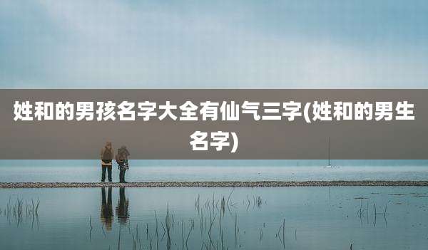 姓和的男孩名字大全有仙气三字(姓和的男生名字)
