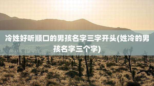 冷姓好听顺口的男孩名字三字开头(姓冷的男孩名字三个字)
