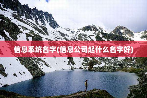 信息系统名字(信息公司起什么名字好)