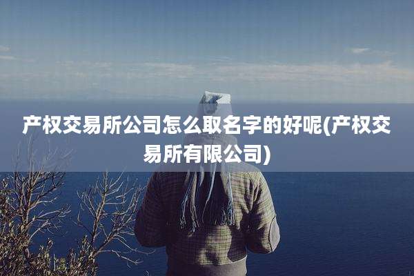产权交易所公司怎么取名字的好呢(产权交易所有限公司)