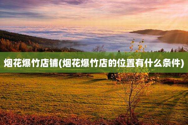 烟花爆竹店铺(烟花爆竹店的位置有什么条件)