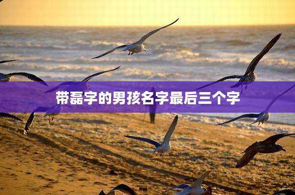 带磊字的男孩名字最后三个字