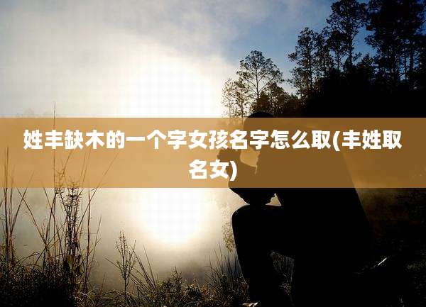 姓丰缺木的一个字女孩名字怎么取(丰姓取名女)