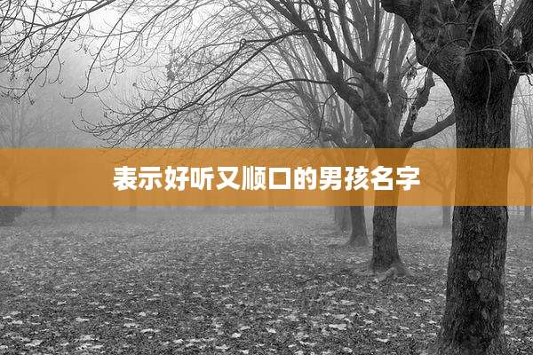 表示好听又顺口的男孩名字