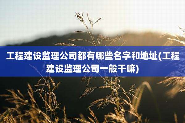 工程建设监理公司都有哪些名字和地址(工程建设监理公司一般干嘛)