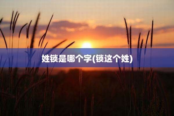 姓锁是哪个字(锁这个姓)