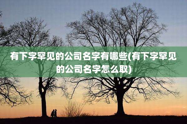 有下字罕见的公司名字有哪些(有下字罕见的公司名字怎么取)