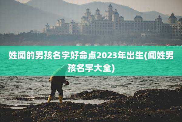 姓闻的男孩名字好命点2023年出生(闻姓男孩名字大全)