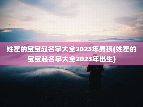 姓左的宝宝起名字大全2023年男孩(姓左的宝宝起名字大全2023年出生)