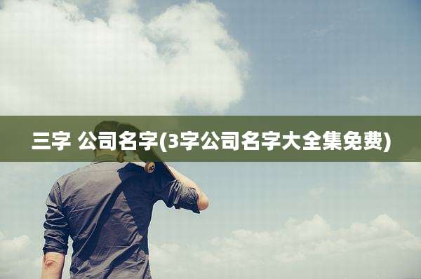 三字 公司名字(3字公司名字大全集免费)