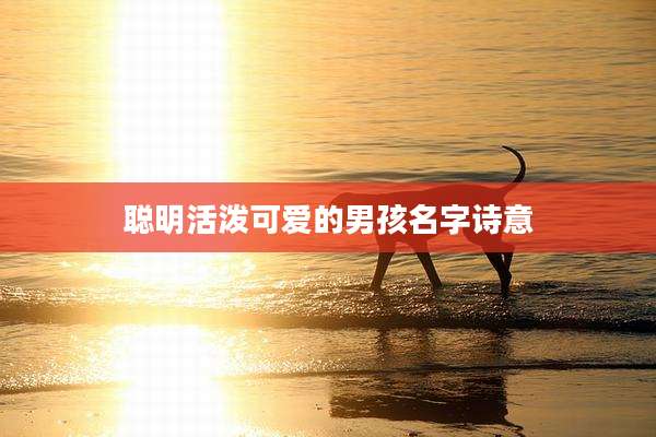 聪明活泼可爱的男孩名字诗意