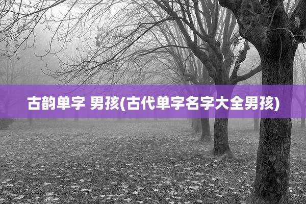 古韵单字 男孩(古代单字名字大全男孩)