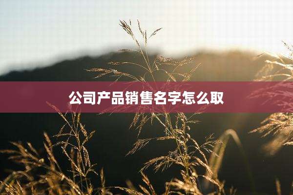 公司产品销售名字怎么取