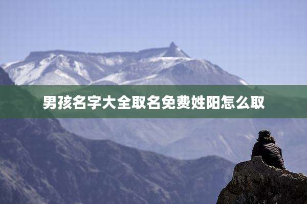 男孩名字大全取名免费姓阳怎么取