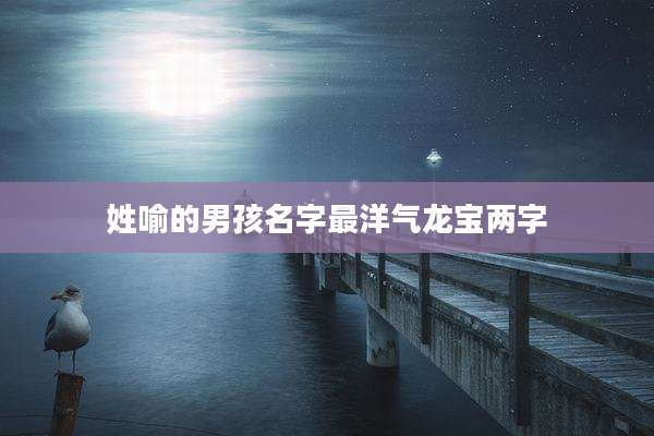 姓喻的男孩名字最洋气龙宝两字