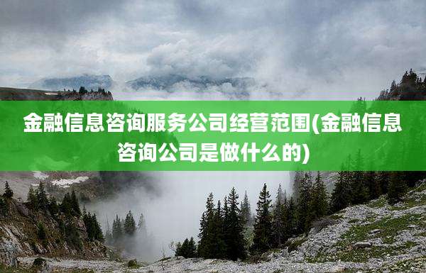 金融信息咨询服务公司经营范围(金融信息咨询公司是做什么的)