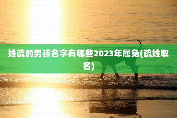 姓疏的男孩名字有哪些2023年属兔(疏姓取名)