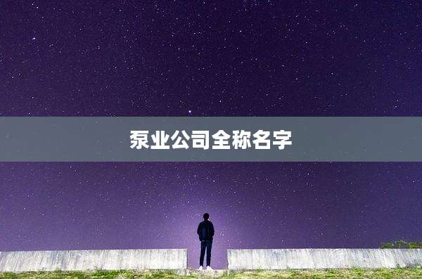 泵业公司全称名字
