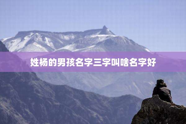姓杨的男孩名字三字叫啥名字好