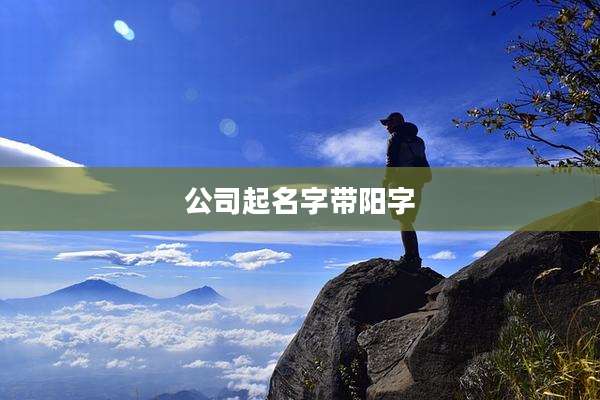 公司起名字带阳字