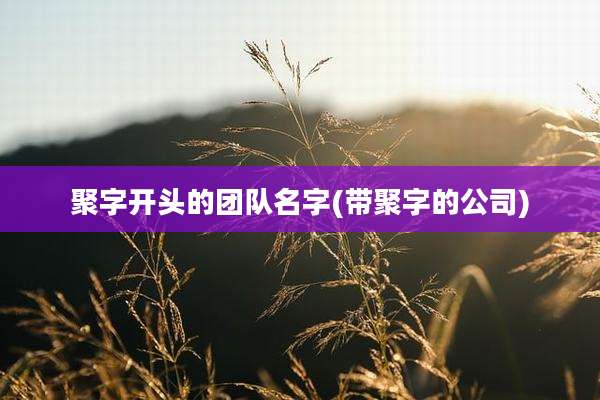 聚字开头的团队名字(带聚字的公司)
