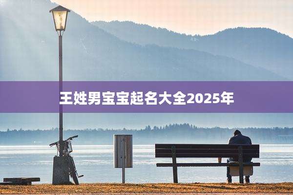 王姓男宝宝起名大全2025年