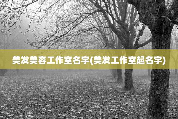 美发美容工作室名字(美发工作室起名字)