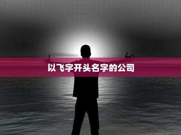 以飞字开头名字的公司