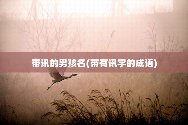 带讯的男孩名(带有讯字的成语)