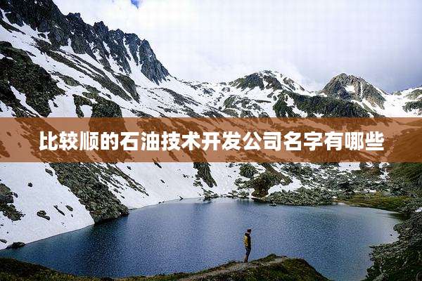 比较顺的石油技术开发公司名字有哪些