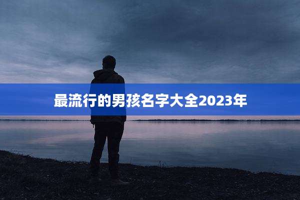 最流行的男孩名字大全2023年