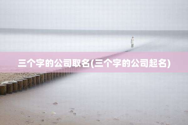 三个字的公司取名(三个字的公司起名)