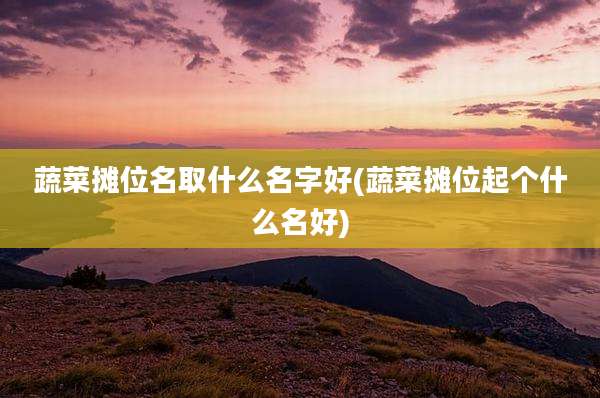 蔬菜摊位名取什么名字好(蔬菜摊位起个什么名好)